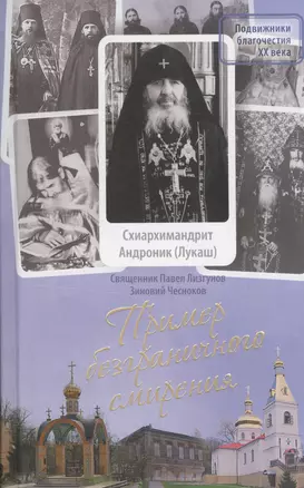 Пример безграничного смирения. Жизнеописание и наставления схиархимандрита Андроника (Лукаша), подвижника Глинской пустыни — 2435635 — 1