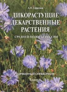 Дикорастущие лекарственные растения средней полосы
