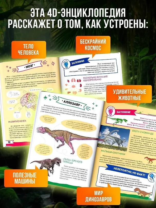 Книга Большая энциклопедия дошкольника с дополненной реальностью (Ирина Барановская, Людмила Доманская, Акира Итикава, Светлана Пирожник) — 6