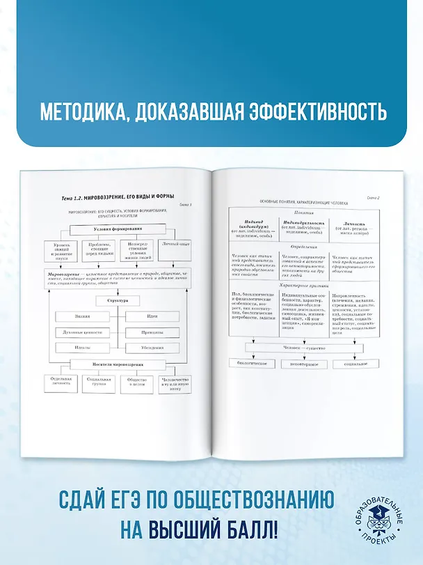 Книга ЕГЭ на 100 баллов. Обществознание. Справочник. Теория и практика (Пётр Баранов, Сергей Шевченко) — 8