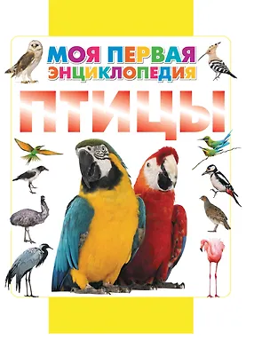 Книга Птицы (Дмитрий Кошевар)