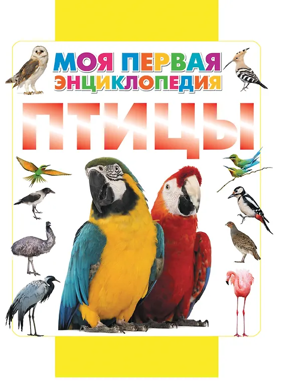 Книга Птицы (Дмитрий Кошевар) — 1