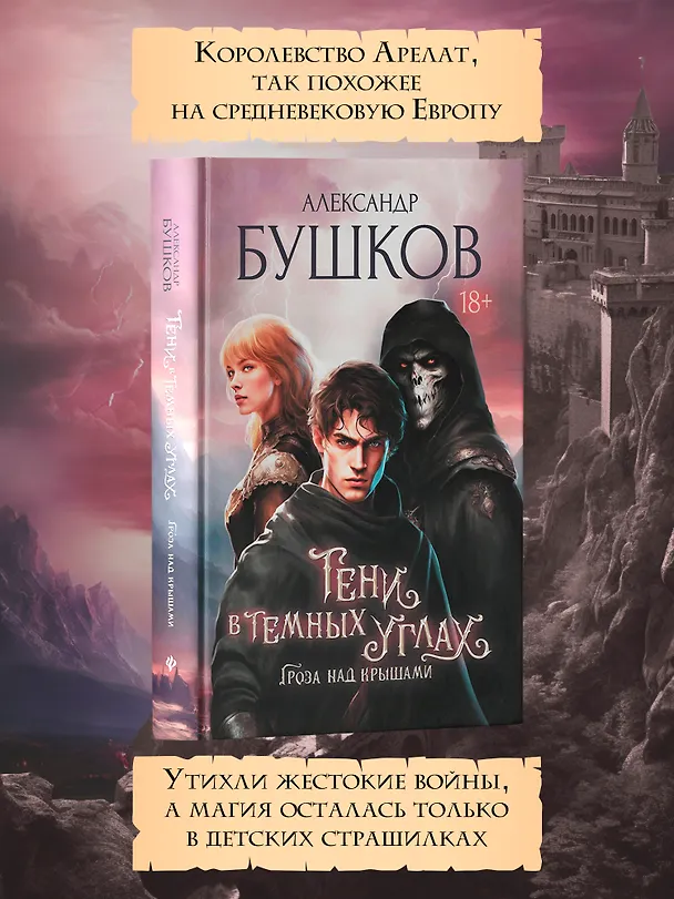 Книга Тени в темных углах. Гроза над крышами (Александр Бушков) — 4