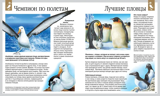 Книга Мир моря (Эмили Бомон, Валери Ле Дю) — 6