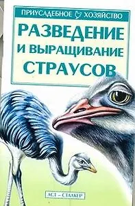 Разведение и выращивание страусов