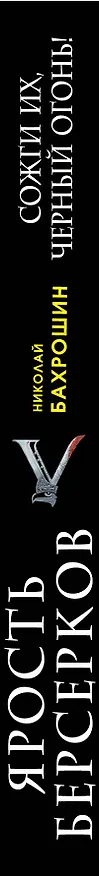 Книга Ярость берсерков. Сожги их черный огонь! (Николай Бахрошин) — 3
