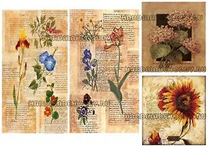 Декупажная карта Гербарий (27-0062) (А4)