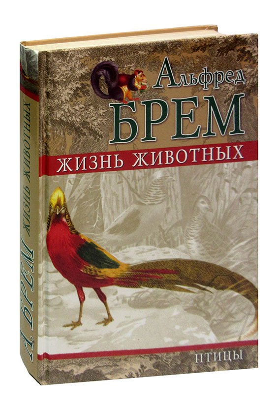 

Жизнь животных. Птицы. Том 4. Отряд голубиные. Отряд куриные. Отряд водяные курочки. Отряд журавлиные. Отряд поисковые птицы