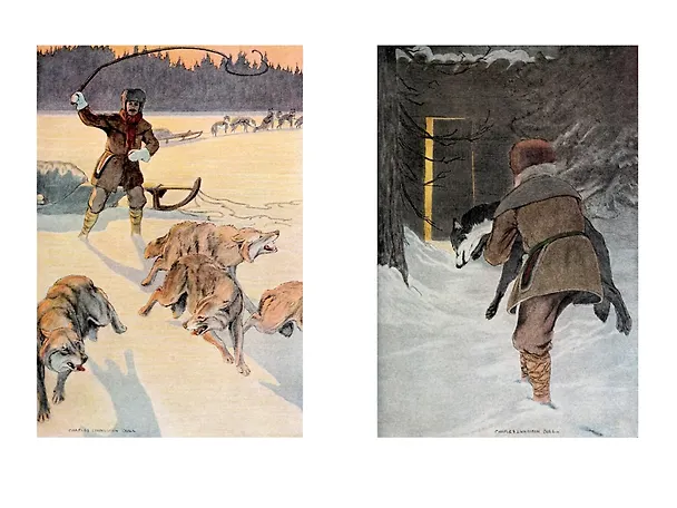 Книга Закон великих снегов (с илл.) (Джеймс Оливер Кервуд) — 11