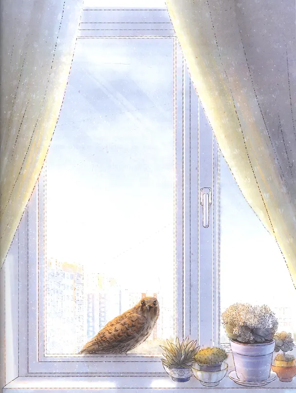 Книга Мои соседи соколы (Алёна Кашура) — 4