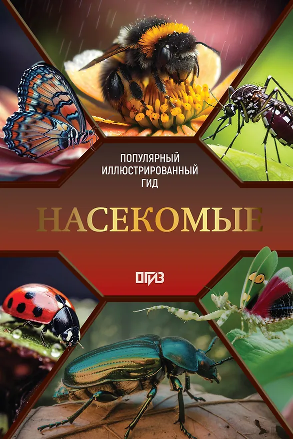 Книга Насекомые. Иллюстрированный гид (Анна Спектор) — 1
