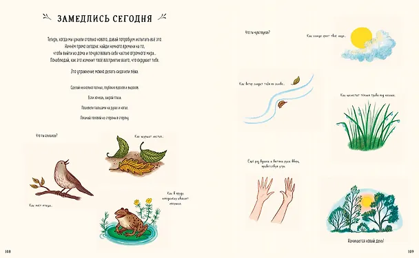 Книга Оглянись вокруг. 50 маленьких событий в живой природе, ради которых стоит замедлиться (Рэйчел Уильямс) — 19