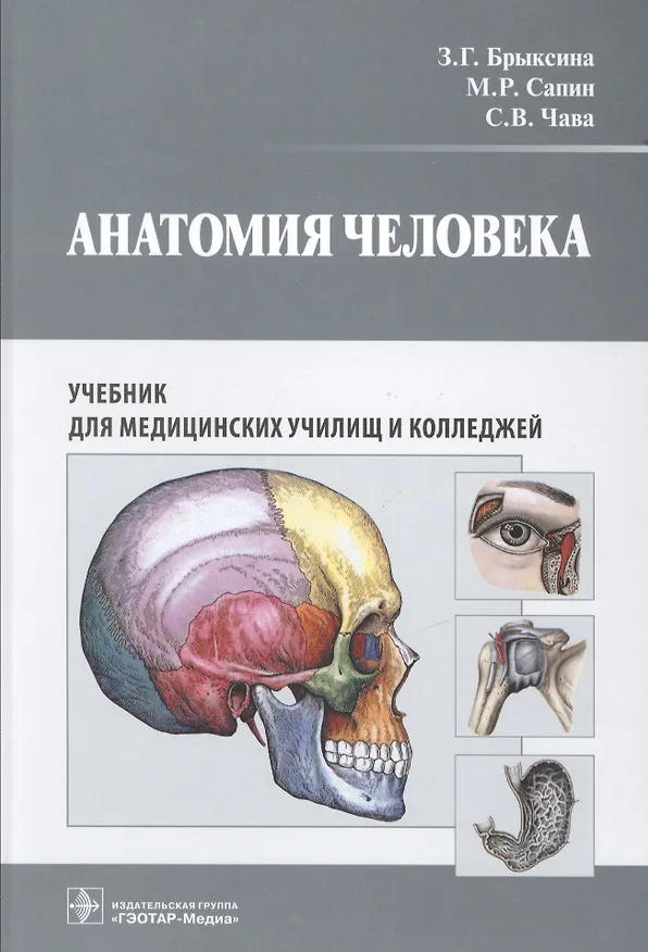 Книга Анатомия человека. (СПО) (Зинаида Брыксина) — 1