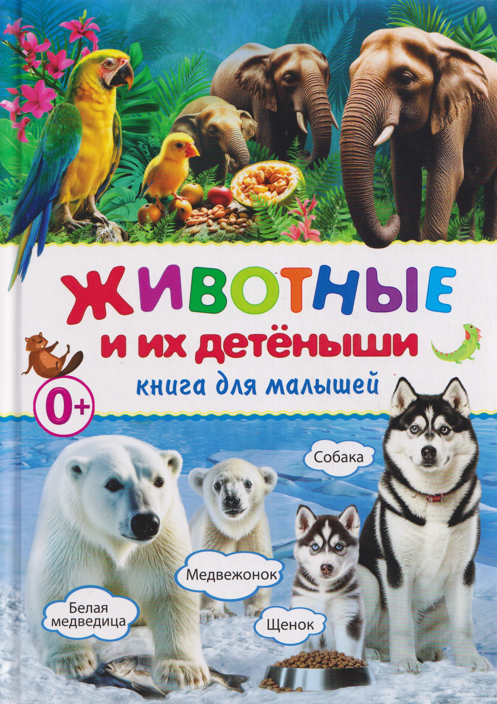 Обложка: Животные и их детёныши. Книга для малышей