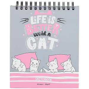 Скетчбук А6 40л "Игривые котята" 120г/м2, тв.обложка, спираль