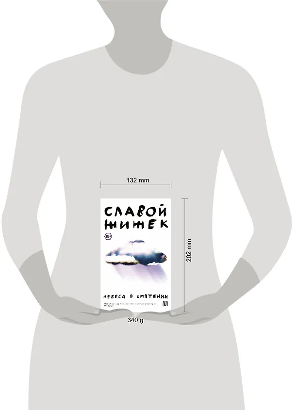 Книга Небеса в смятении (Славой Жижек) — 5