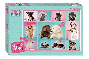 Пазл Мирна Step puzzle 2000 эл. 96*68см. 84300 340549