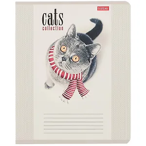 Тетрадь в клетку Hatber, "Кототерапия", 12 листов, в ассортименте