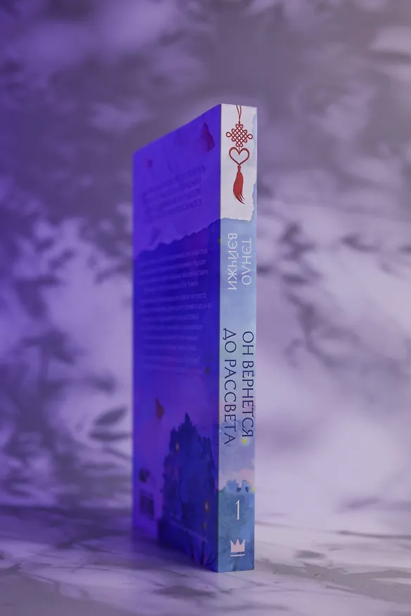 Книга Он вернется до рассвета. Книга 1 (Тэнло Вэйчжи) — 11