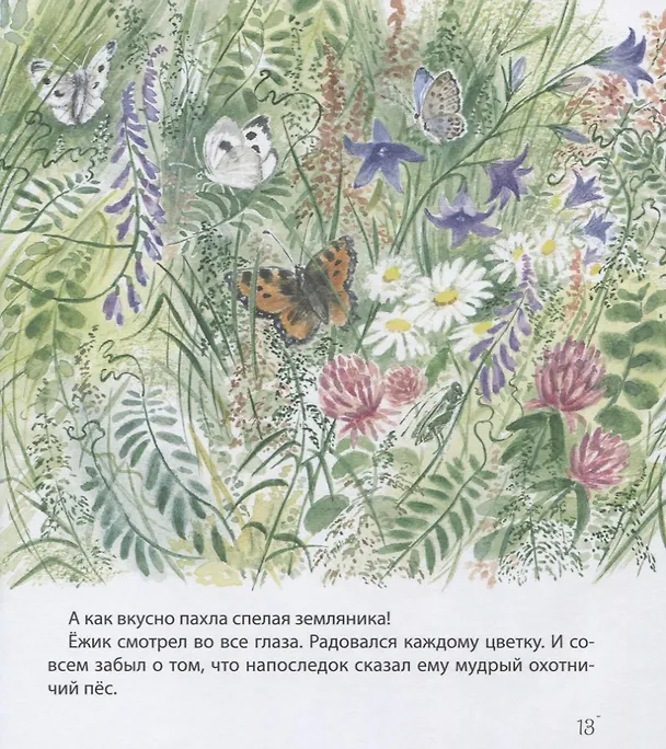 Книга Самый маленький ежик (Наталья Чарушина-Капустина) — 4