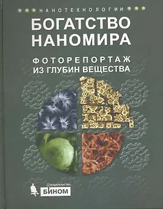 Богатство наномира. Фоторепортаж из глубин вещества