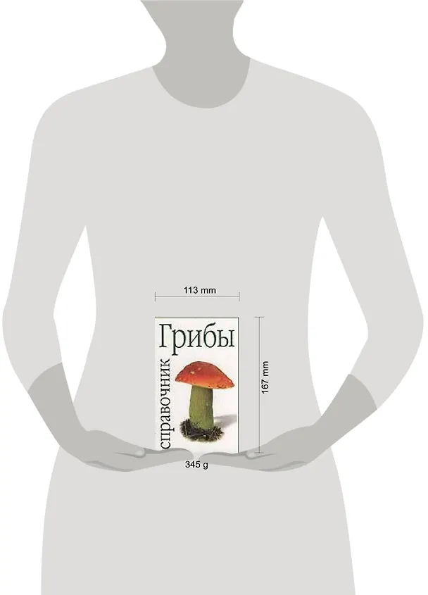 Книга Справочник.Грибы (Фридэнга Двин) — 2