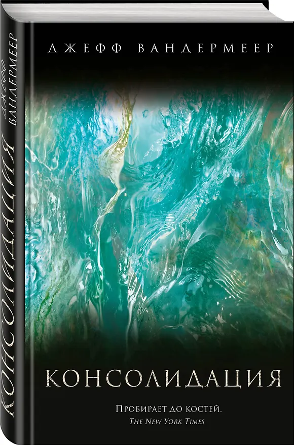 Книга Консолидация (Джефф Вандермеер) — 4