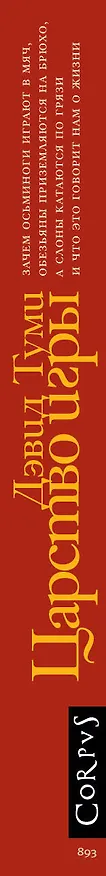 Книга Царство игры (Дэвид Туми) — 4