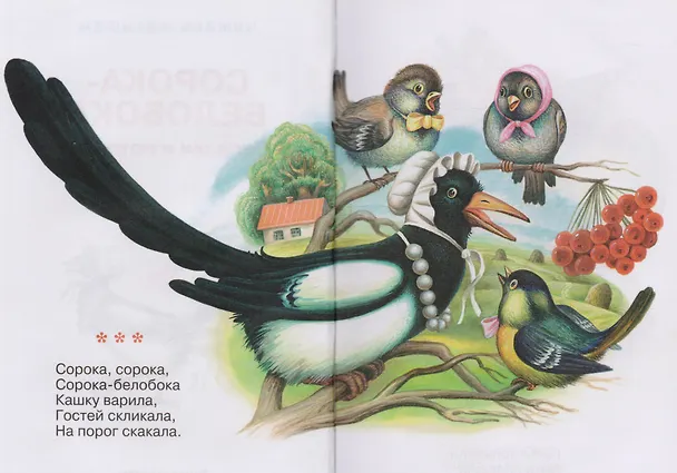 Книга Сорока-белобока () — 2