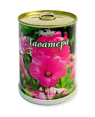 Цветок в банке "Лаватера" (77028) 2371561 — 1