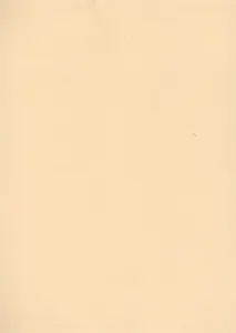 Бумага для пастели А4 "Mi-Teintes" 160г/м2 №470 шампань, Canson