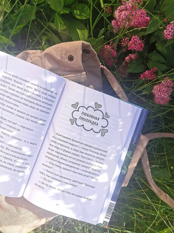Книга Амир и безумный ингредиент (Шермин Яшар) — 11
