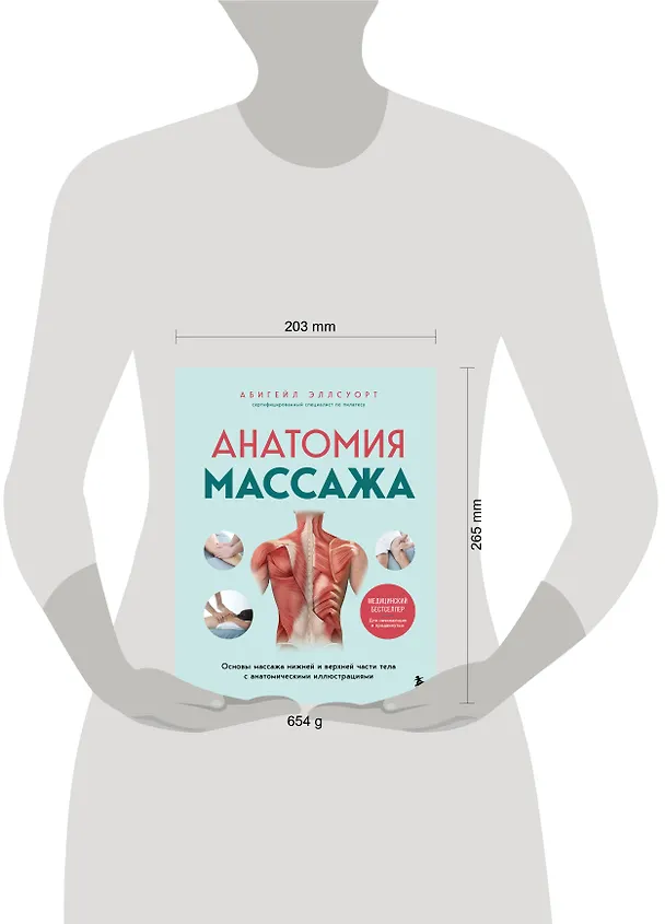 Книга Анатомия массажа. Основы массажа нижней и верхней части тела с анатомическими иллюстрациями (Абигейл Эллсуорт) — 11