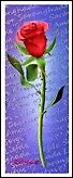 Закладка 3D Red Rose (Листопадова)