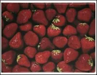 Обложка на студенческий Клубника (00000002394)