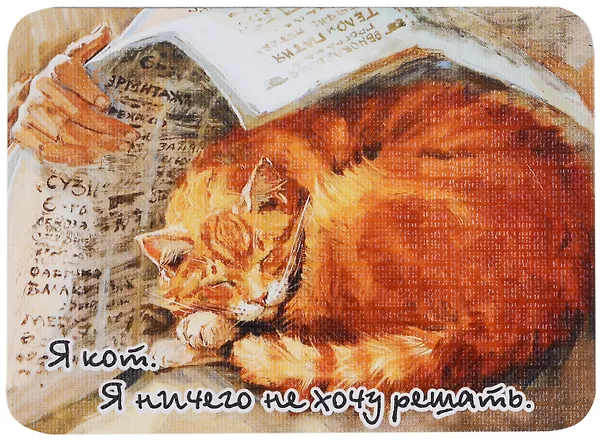 Магнит Я кот. Я ничего не хочу решать 333665 — 1