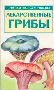 Книга Лекарственные грибы (Александр Морозов)