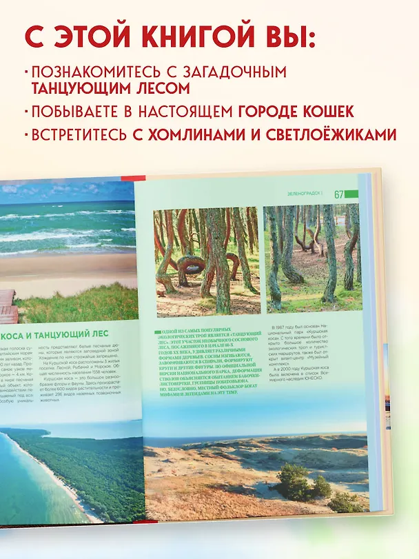 Книга Чарующий Калининград. Самые красивые места края янтаря, которые обязательно нужно посетить (Марина Железова) — 9