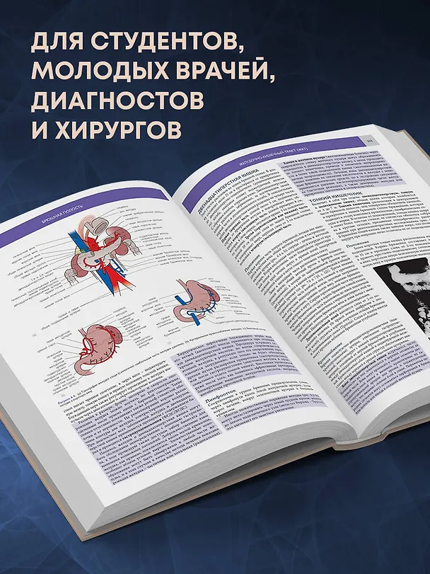 Книга Основы клинической анатомии. Иллюстрированный атлас нозологий и патологий (Джон Ламли, Джон Крейвен, Ричард Танстэлл) — 7
