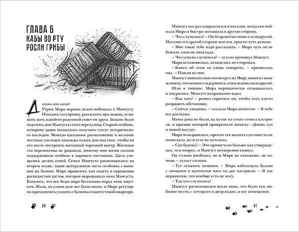 Книга Сквозь туман меня не видно + стикеры (Надя Сова) — 5