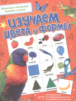 Изучаем цвета и формы — 2580686 — 1