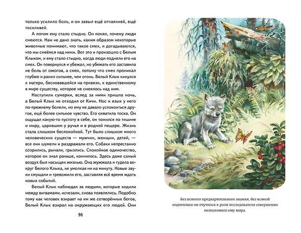 Книга Белый Клык (ил. В. Канивца) (Джек Лондон) — 14