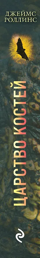 Книга Царство костей (Джеймс Роллинс) — 3