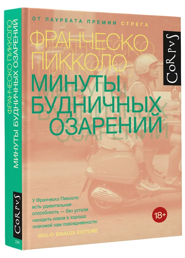 Книга Минуты будничных озарений (Франческо Пикколо) — 4
