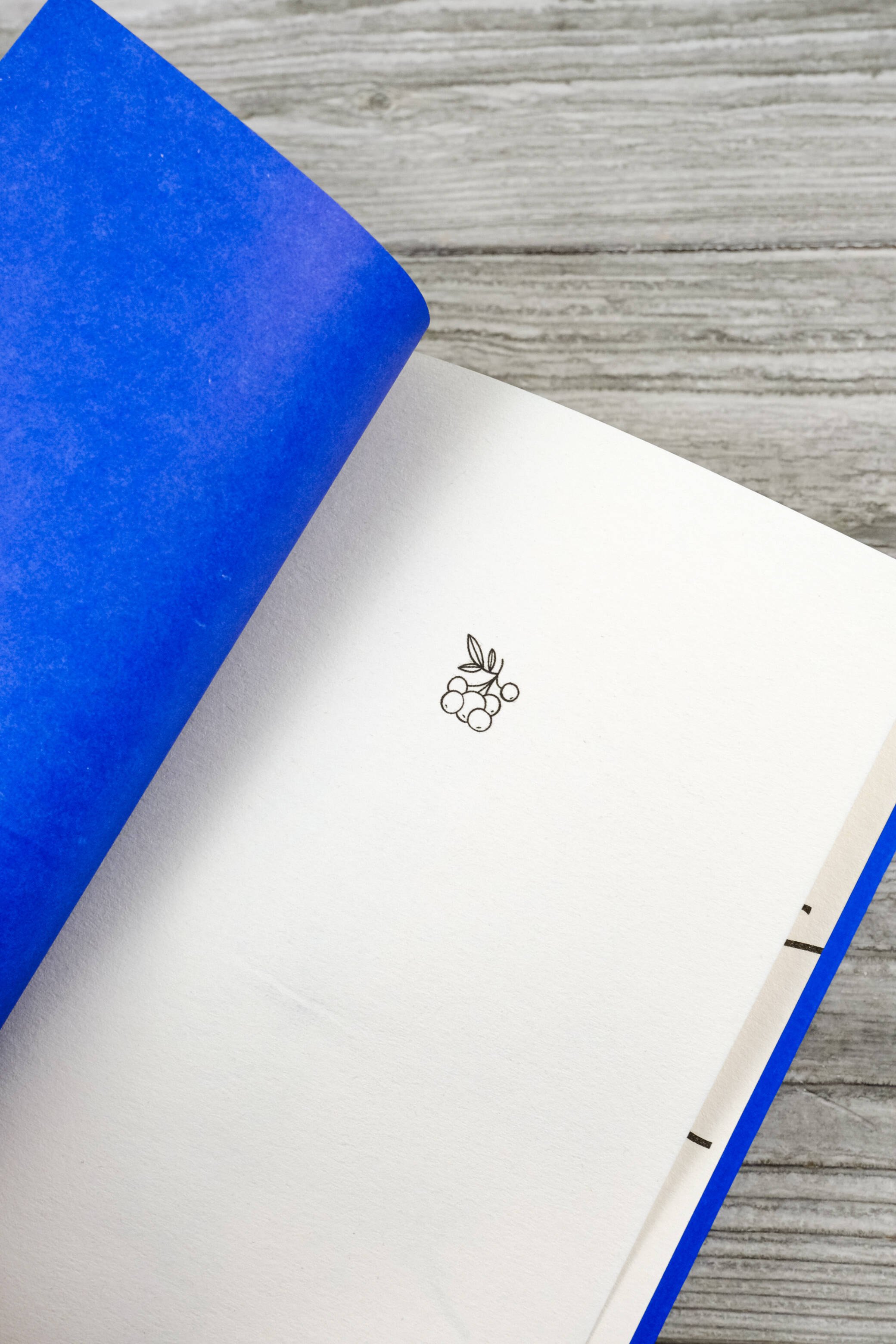 Изображение бумажной книги