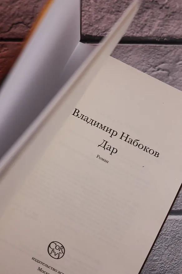 Книга Дар (Владимир Набоков) — 10