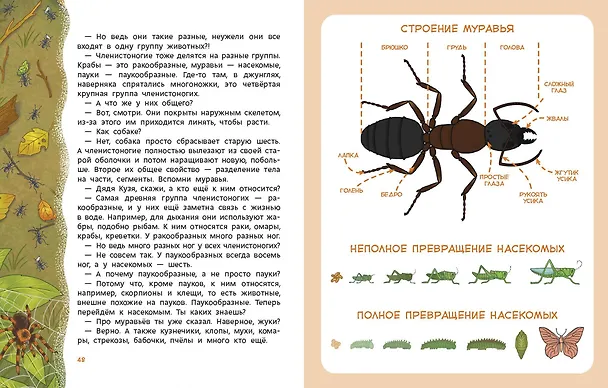 Книга Животные. Детская энциклопедия (Максим Политкин) — 7