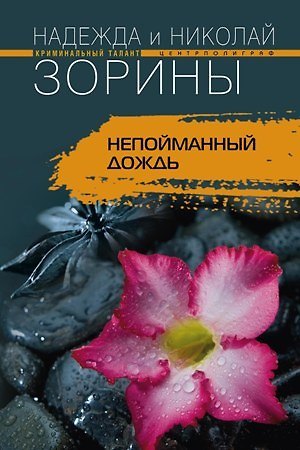 Книга Непойманный дождь (Надежда Зорина, Николай Зорин) — 1
