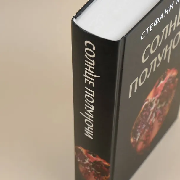 Книга Солнце полуночи (Стефани Майер) — 13