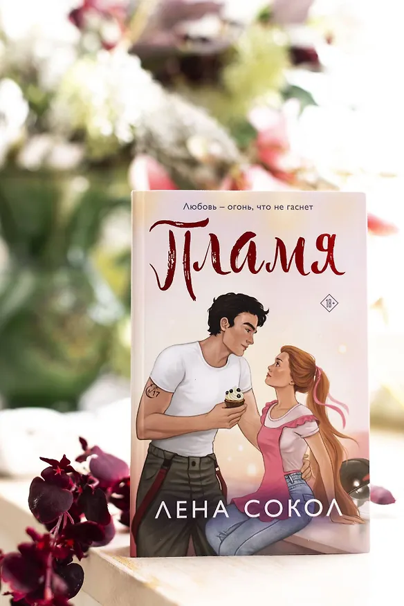 Книга Пламя (Лена Сокол) — 14